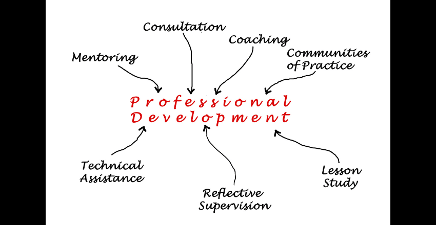 Promoting Professional Development